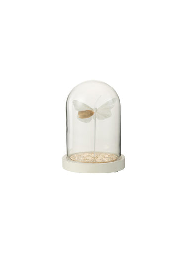 Cloche en verre décorative papillon Blanc