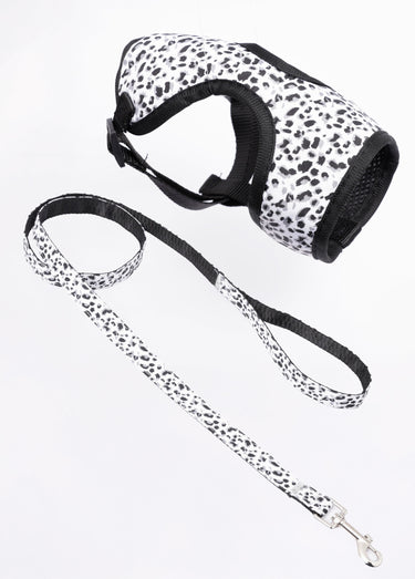 Harnais pour chien + laisse léopard Blanc