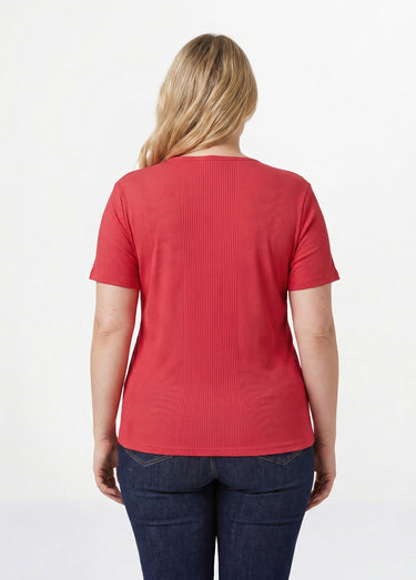 T-shirt coton côtelé col rond Griotte