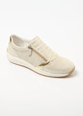 Beige Irise