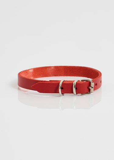 Collier cuir et boucle métal, pour chien Rouge