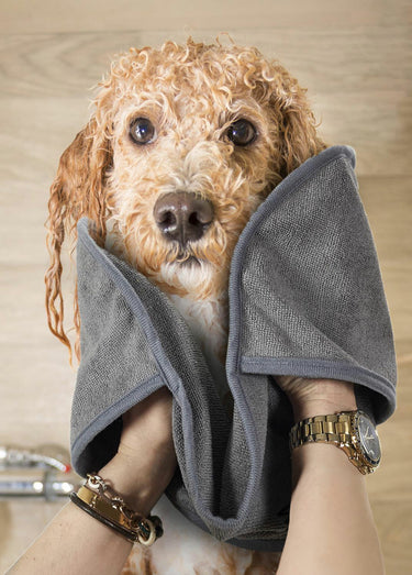 Serviette absorbante pour animal Gris