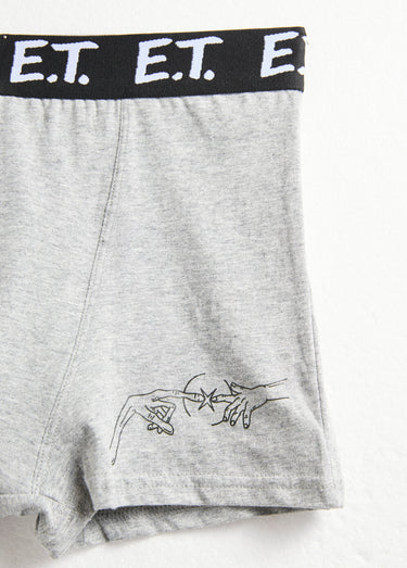 Boxer avec licence E.T. Gris Fonce