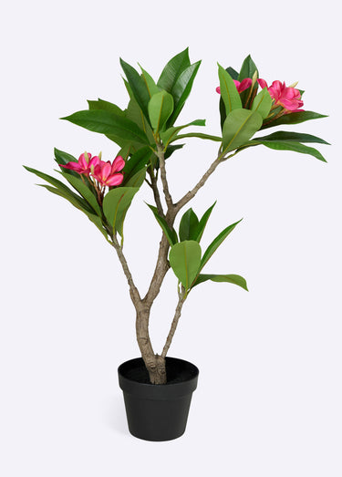 Plante artificielle frangipanier vif Vert