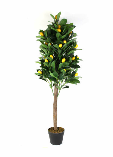 Grande plante artificielle citronnier Vert