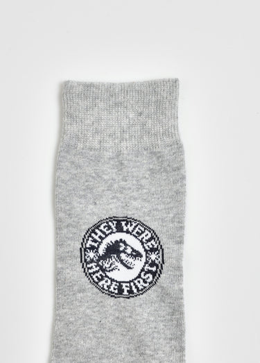 Paire de chaussettes, Jurassic World Gris