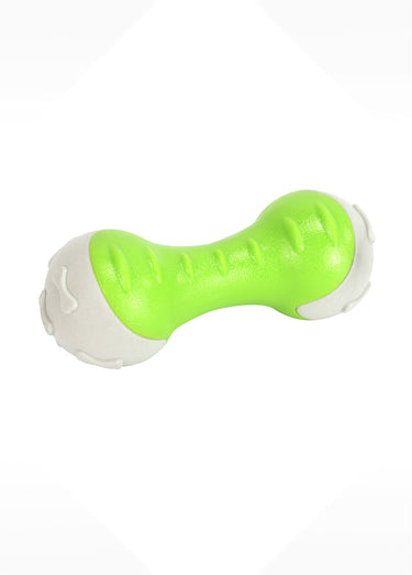 Jouet os bicolore pour chien Vert