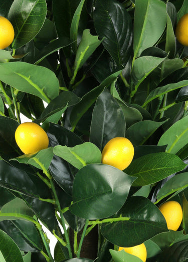 Grande plante artificielle citronnier Vert
