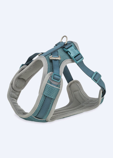 Harnais pour chien Premium FLEX MESH Petrole