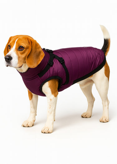 Manteau chaud avec harnais, pour chien Sangria