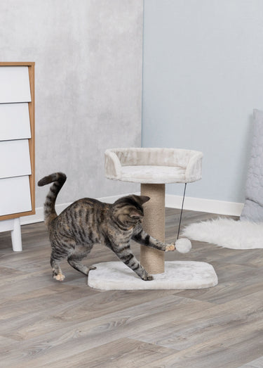 Petit arbre à chat MICA, hauteur 46cm Gris