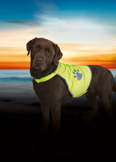 Gilet de sécurité réfléchissant pour chien Jaune