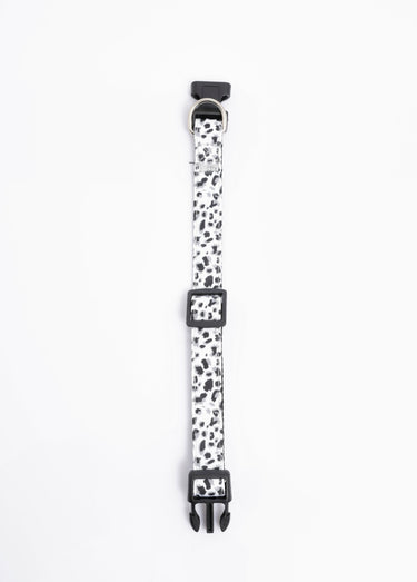 Collier pour chien + laisse léopard Blanc