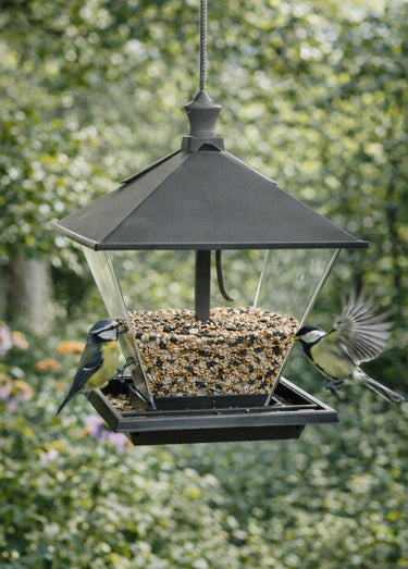 Mangeoire nordique pour oiseaux Naturel