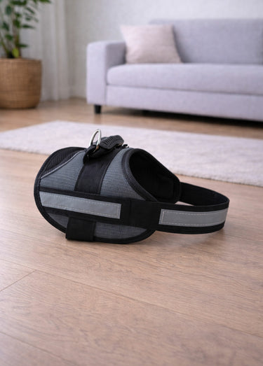Harnais waterproof chien avec poignée Gris