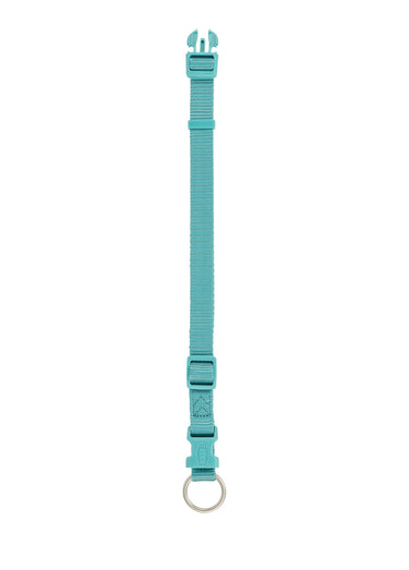 Collier sangle Premium pour chien Aqua