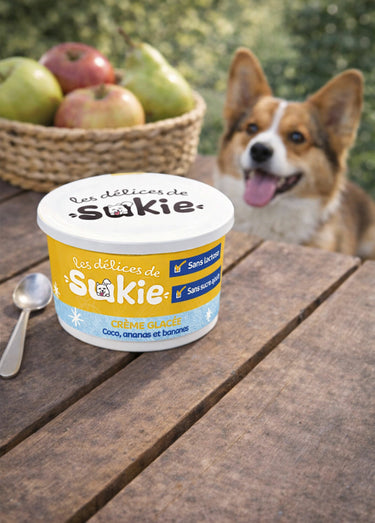 Glace pour chien, ananas/banane