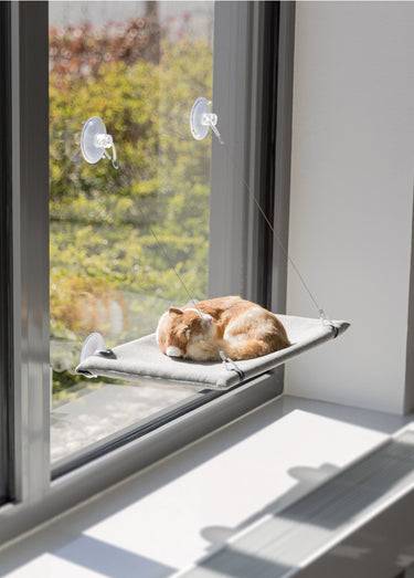 Plateforme ventouses à fixer, pour chat Gris