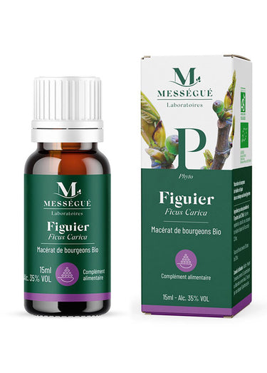 Macérat de bourgeons BIO figuier