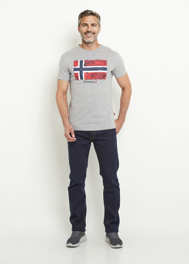 T-shirt col rond drapeau exotique Gris