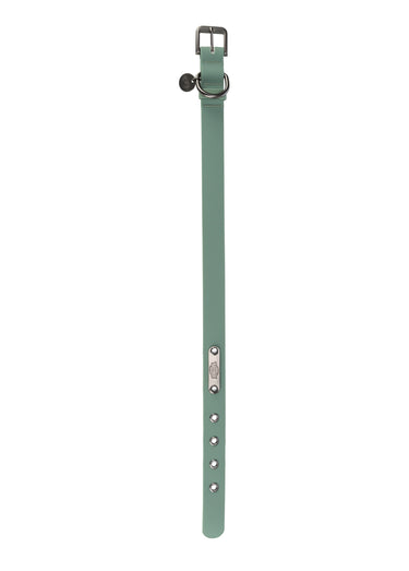 Collier en PVC CITY STYLE pour chien Sauge