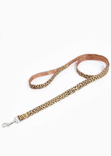 Harnais pour chien + laisse léopard Jaune