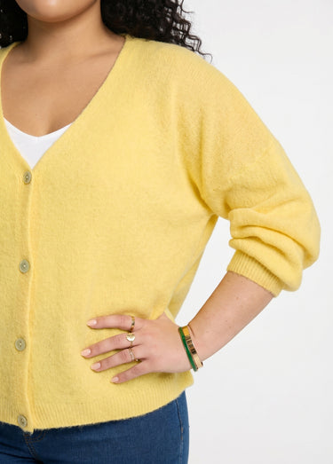 Gilet maille avec alpaga, col V Jaune Pale