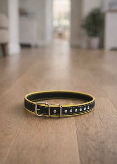 Collier chien à boucle avec strass Jaune