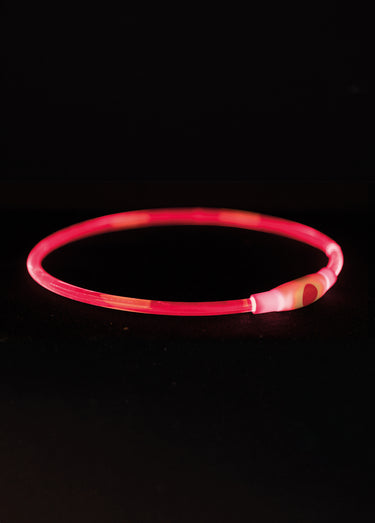 Anneau lumineux flash USB pour chien Rouge