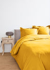 Ocre