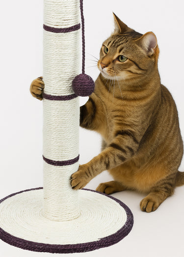 Tronc à griffer sisal + balle, pour chat Violet