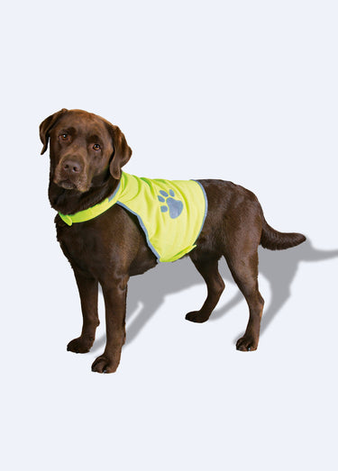 Gilet de sécurité réfléchissant pour chien Jaune
