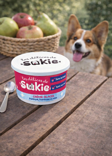 Glace pour chien pastèque/framboise/mûre