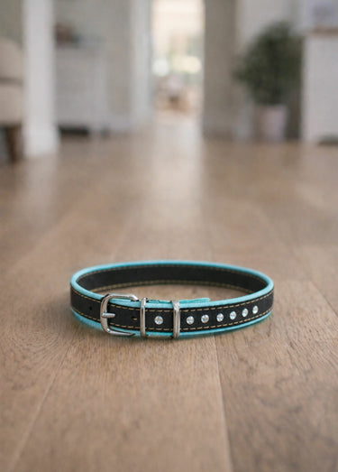 Collier chien à boucle avec strass Vert
