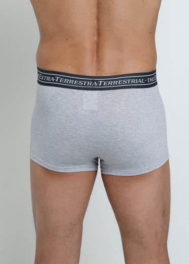 Boxer avec licence E.T. Gris Clair
