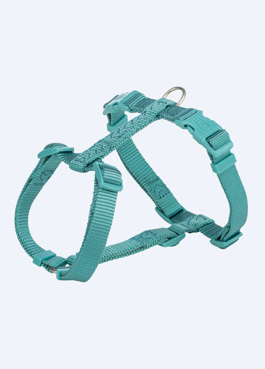 Harnais sangle Premium pour chien Aqua