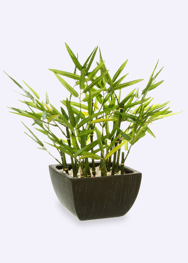 Plante artificielle en pot type bambou Vert