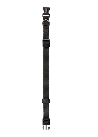 Collier sangle Premium pour chien Noir