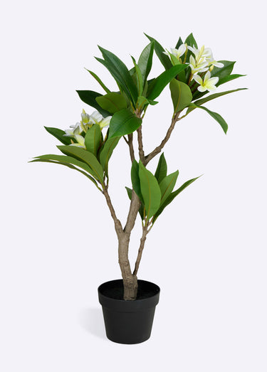 Plante artificielle frangipanier clair Vert