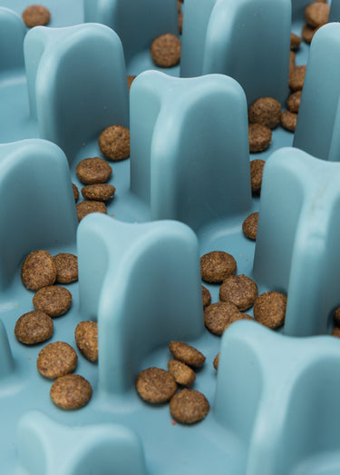 Set de table pour animaux SLOW FEEDING Bleu