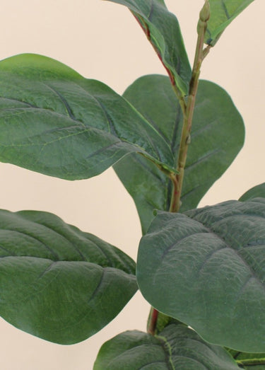 Plante artificielle Figuier lyre + pot Noir