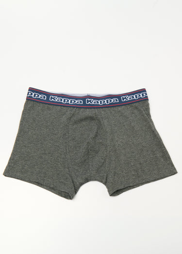 Boxer en coton ceinture élastiquée Gris