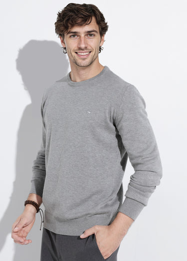 Pull fin coton, col rond manches longues Gris Clair