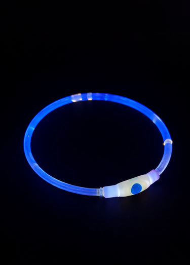 Anneau lumineux flash USB pour chien Bleu