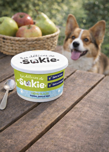 Glace pour chien, pomme/poire/kiwi