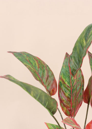 Plante artificielle Aglaonème + pot Noir