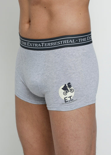 Boxer avec licence E.T. Gris Clair