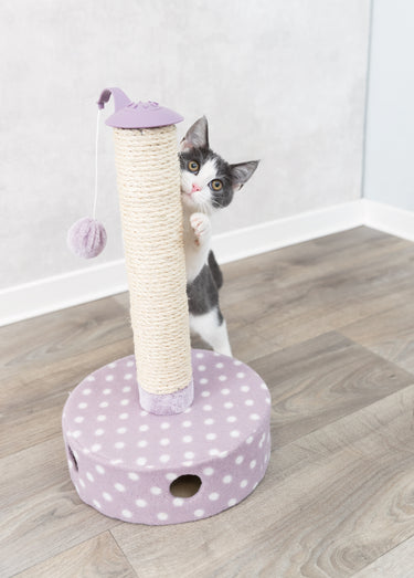 Tronc à griffer peluche + balles, pour chat Mauve / Naturel