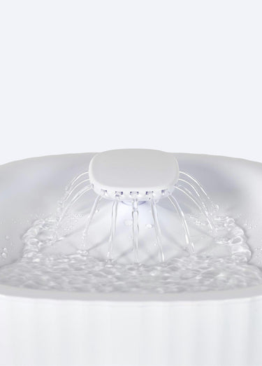 Distributeur fontaine à eau  automatique Blanc