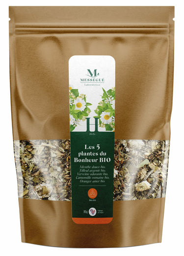 Tisane BIO 5 plantes du bonheur